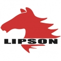 Lipson Enterprise Co., Ltd.
